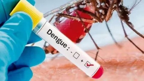 Dengue test image 1